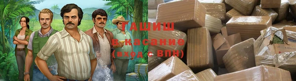 шишки Арсеньев