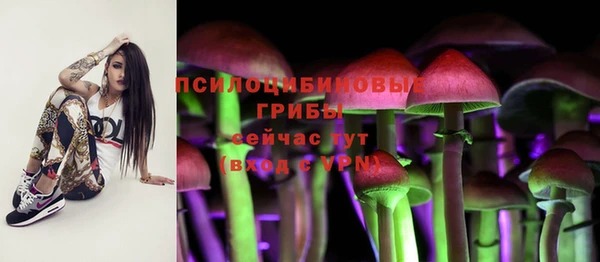 твердый Армянск