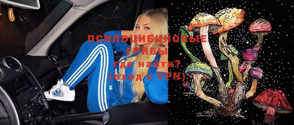 шишки Арсеньев