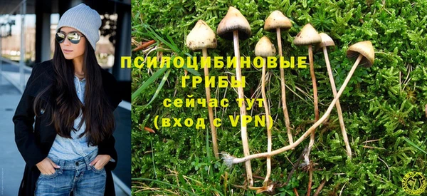 твердый Армянск