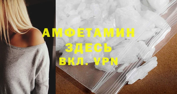 шишки Арсеньев