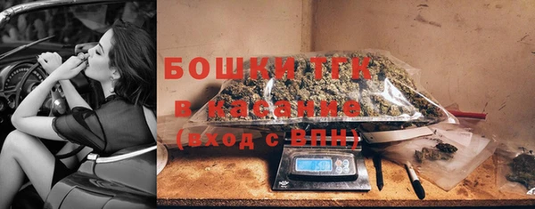 шишки Арсеньев