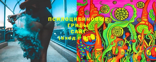 твердый Армянск