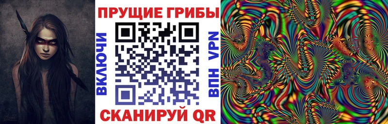 Галлюциногенные грибы Magic Shrooms как найти наркотики Армянск